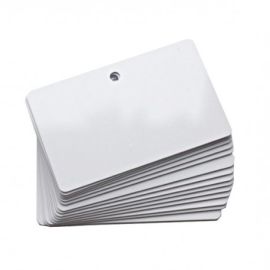 Evolis Plastic Cards, 100 pcs.-C4512
